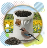 SŁONECZNIK DLA PTAKÓW 10kg KARMA POKARM ZIARNO DO KARMNIK + GRATIS PLAKAT