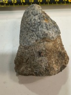 Ciekawy kamyk jakby miał zapałkę zatopioną w sobie