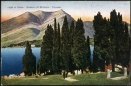 Lago di Como. Dintorni di Belagio. Cipressi - Cesare Capello, Milano 1920