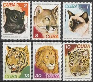 KUBA CUBA - DZIKIE KOTY - FAUNA - SSAKI - 1977 - CZYSTE **