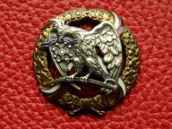 Odznaka - 15 PUŁK UŁANÓW POZNAŃSKICH - S.A. PICCHIANI & BARLACCHI