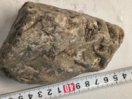 Skamieliny koralowce minerały