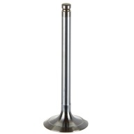 Zawór ssący Landini Massey Ferguson 3640597M1