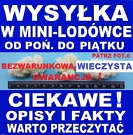 GRZYBEK TYBETAŃSKI KEFIROWY na wiejskim mleku30g + ULOTKA 4xA4