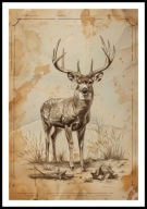 A2 PLAKAT RYSUNEK SZKIC VINTAGE RETRO JELEŃ JELONEK POROŻE JELENIA