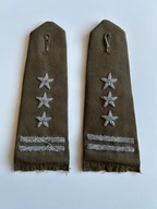 Pagony WP Pułkownik bajorek