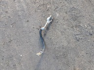 PRZEWÓD MASOWY IBIZA IV POLO 6R FABIA 3 1.4TDI