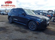 BMW X5 Phev xDrive50E 2024 3.0l 3.0 Hybryda 308KM
