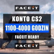 KONTO CS2 1100-4000 GODZIN PEŁNY DOSTĘP 6-8 MEDALI