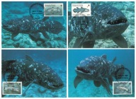 05-MC-GK51- Rep.Federalna-Komory, WWF, 1998-Ryby oceaniczne