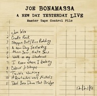 JOE BONAMASSA - A NEW DAY YESTERDAY LIVE / 2LP