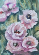 Akwarela Sabina Salamon 23x31 łąka maki kwiaty