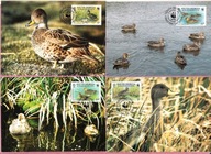 S.Georgia Falkland I. 1992, MC FDC 4szt. WWF ptaki, kaczki