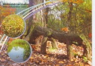 ALEKSANDRÓW ŁÓDZKI - TORFOWISKO RĄBIEŃ