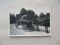 SIDZINA k/SKAWINA KOŃ WÓZ DRABINIASTY stare FOTO 1954
