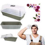 Miniszklarenka z pokrywką 39x19 cm mini szklarnia do rozsady prezent