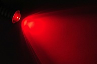 P21/5W LED CREE CZERWONA DO ŚWIATEŁ POZYCJA-STOP