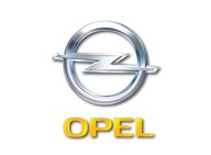 Historia serwisowa ASO Opel po numerze VIN Raport wydruk