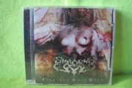 CD Terminus Ante Quem Shadows Land