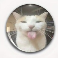 PRZYPINKI BADZIKI BUTTONY ZNACZKI 58 mm – na każdy gust! KOTEK CAT