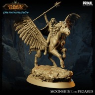 Cleric Moonshine on Pegasus - CoE - figurka RPG DnD D&D - druk 3D 14K