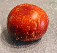 Pomidor Dark Galaxy (417) nasiona kolekcjonerskie