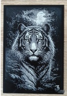 obraz dekoracyjny Tygrys w dżungli A5