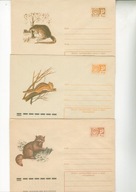 Ssaki-ciekawe koperty ilustrowane