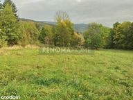 Działka, Nowa Ruda, Kłodzki, 1200 m²