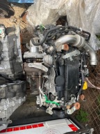 Silnik kompletny Renault Koleos II Nissan X-trail 2,0DCI M9R-868 72TS KM