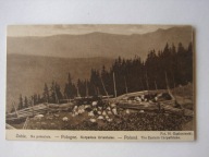 Żabie / Wierchowina - Na Połoninie / Huculszczyzna - stara pocztówka