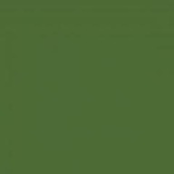 GAMMA CIEMNO ZIELONA ŚCIANA POŁYSK PARADYŻ 20*20 G2 m2 zamów