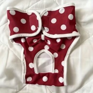 MAJTKI NA CIECZKĘ chihuahua YORK