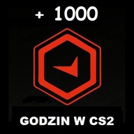 KONTO CS2 GODZINY | 1000h | SMURF | CS GO | FA