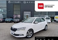 Skoda Fabia 1.0 60KM Ambition Salon PL ASO 1 wlasciciel Benzyna 60KM