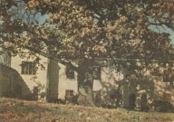 DUBIECKO - PAŁAC
