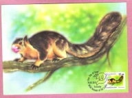 Sri Lanka 2018 MC FDC ssaki, gryzonie, las, olbrzymia wiewiórka górska