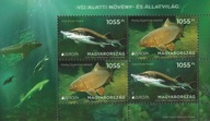 Węgry 2024 Znaczki Blok 498 ** Europa CEPT ryby fauna wodna