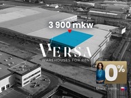 Magazyny i hale, Wypędy, Raszyn, Pruszkowski, 3900 m²