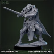 Forgeborn Templar 3 - WI - figurka RPG DnD D&D - druk 3D 14K