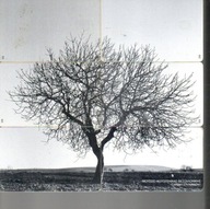 Grecja. 6 greckich kart telefonicznych puzzle-DRZEWO 1