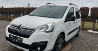 Citroen Berlingo Citroen Berlingo Multispace BlueHDi 120 SampS XTR 1.6