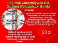 Cegiełka Charytatywna Dla Dzielnej Wojowniczki 20 zł Emilki Favarin
