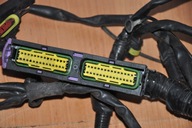 INSTALACJA ELEKTRYCZNA LPG V8