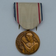 Francja - Medal / Reconnaissance Française - M. DELANNOY (1)