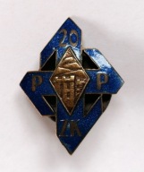 Odznaka 20 Pułk Piechoty