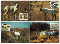 01-MC-GK40- Jordania,WWF, 2005-Antylopy-Oryx