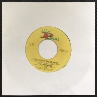 THE TEMPREES A Thousand Miles Away - Chalk It Up / SP Vinyl z 1973 - dobra