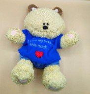 maskotka szczęśliwy misio MIŚ kocham tatusia :-)