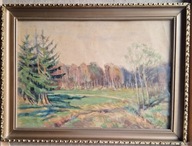 Juliusz Rómmel 1954 r. Pejzaż LEŚNA POLANA Akwarela ORYGINAŁ Unikat